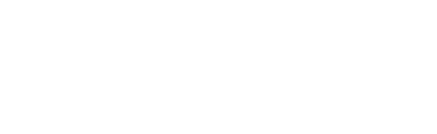 Affordable Insurance Partners logo